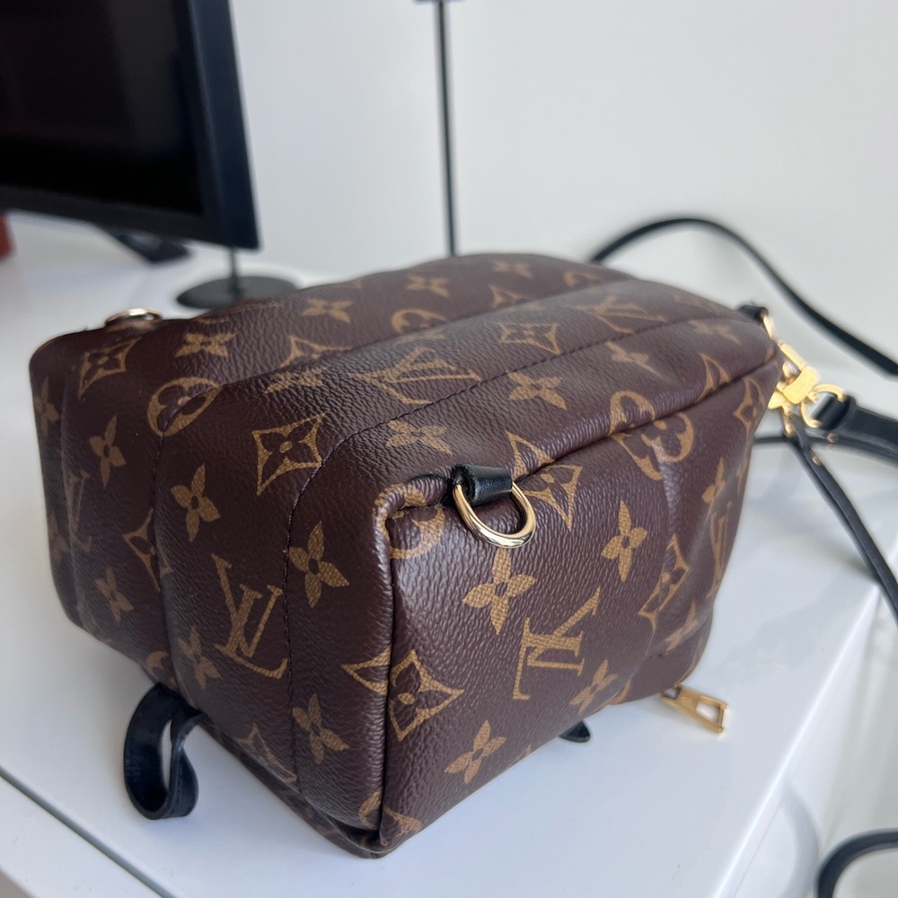 Louis Vuitton Palm Spring Mini Backpack - Picture 8 of 8